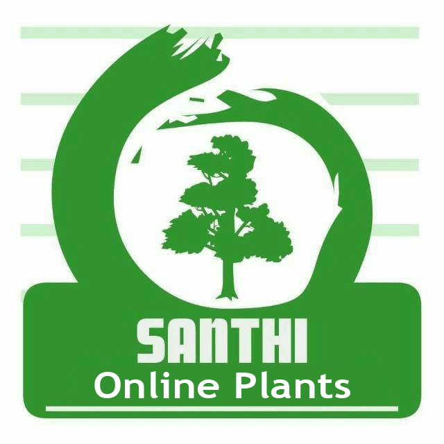 Santhi online plants logo