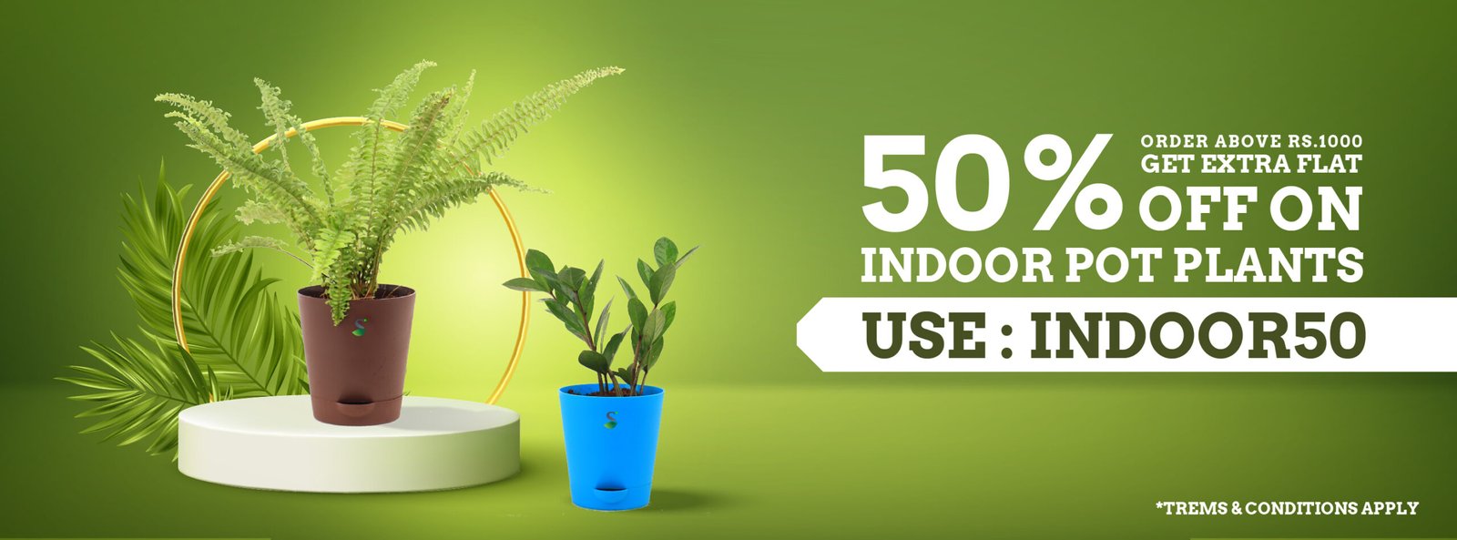 Get Additional 50% Discount for Indoor Pot Plants