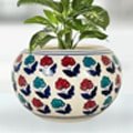 Ceramic Pot Collections