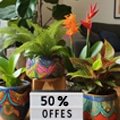 Combo Below 50 % Offer