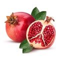 Fruit Plants
