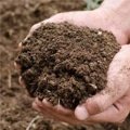 Organic Manures