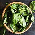 Spinach Seed Varieties