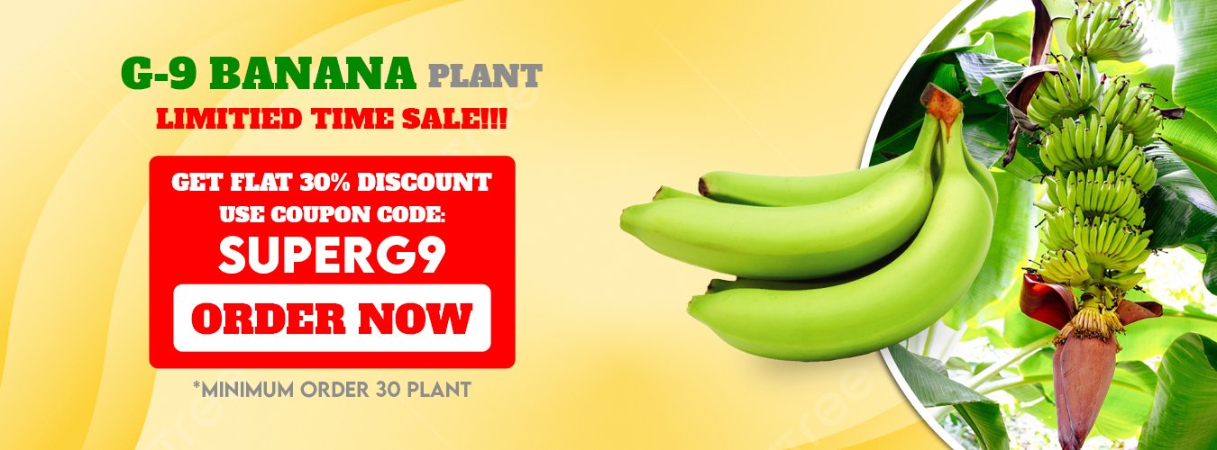 G9 Banana Limited Time Offer Sale